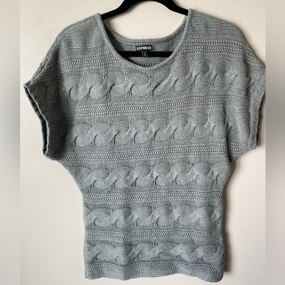 Express short sleeve sweater